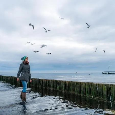 Lejlighed Haus Silbermoewe Whg Sm1 Boltenhagen (Ostseebad)