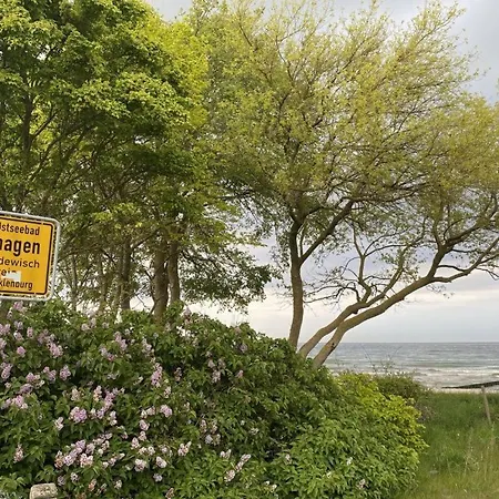 Lejlighed Haus Silbermoewe Whg Sm1 *